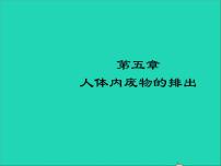 初中生物人教版 (新课标)七年级下册第五章 人体内废物的排出教学课件ppt