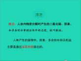 生物人教版七年级下册同步教学课件第4单元 生物圈中的人第5章人体内废物的排出