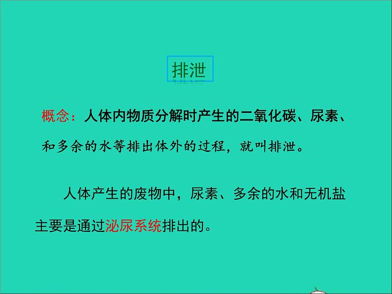 生物人教版七年级下册同步教学课件第4单元 生物圈中的人第5章人体内废物的排出03