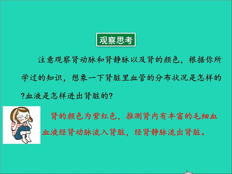 生物人教版七年级下册同步教学课件第4单元 生物圈中的人第5章人体内废物的排出05