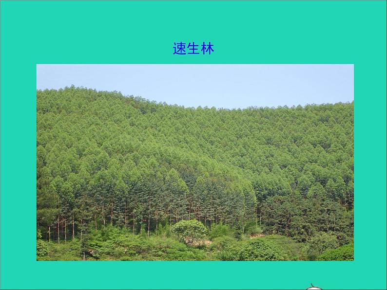 生物人教版七年级下册同步教学课件第4单元 生物圈中的人第7章人类活动对生物圈的影响第3节拟定保护生态环境的计划第8页