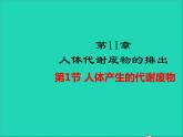生物北师大版七年级下册同步教学课件第4单元 生物圈中的人第11章人体代谢废物的排出第1节人体产生的代谢废物1