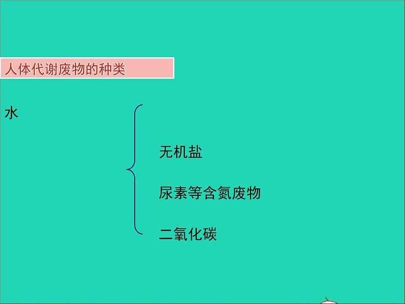 生物北师大版七年级下册同步教学课件第4单元 生物圈中的人第11章人体代谢废物的排出第1节人体产生的代谢废物105
