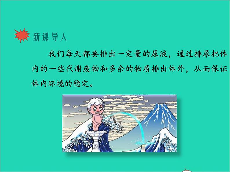 生物北师大版七年级下册同步教学课件第4单元 生物圈中的人第11章人体代谢废物的排出第2节尿的形成与排出1新版02