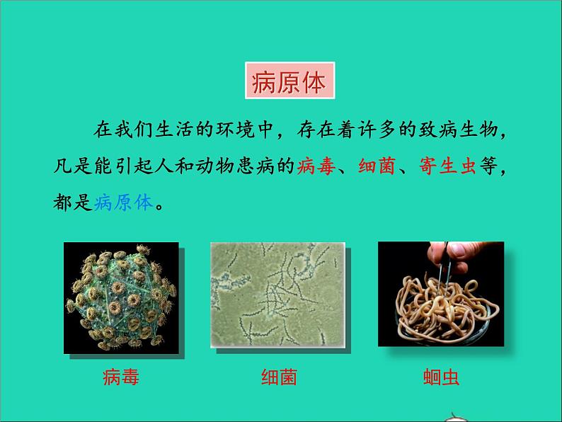 生物北师大版七年级下册同步教学课件第4单元 生物圈中的人第13章健康地生活第2节预防传染病2第6页