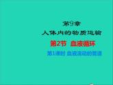 生物北师大版七年级下册同步教学课件第4单元 生物圈中的人第9章人体内的物质运输第2节血液循环第1课时血液流动的管道1