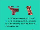生物北师大版七年级下册同步教学课件第4单元 生物圈中的人第9章人体内的物质运输第2节血液循环第1课时血液流动的管道1