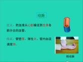 生物北师大版七年级下册同步教学课件第4单元 生物圈中的人第9章人体内的物质运输第2节血液循环第1课时血液流动的管道1
