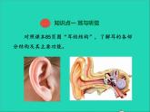生物北师大版七年级下册同步教学课件第4单元 生物圈中的人第12章人体的自我调节第2节感受器和感觉器官第2课时听觉其他感受器1