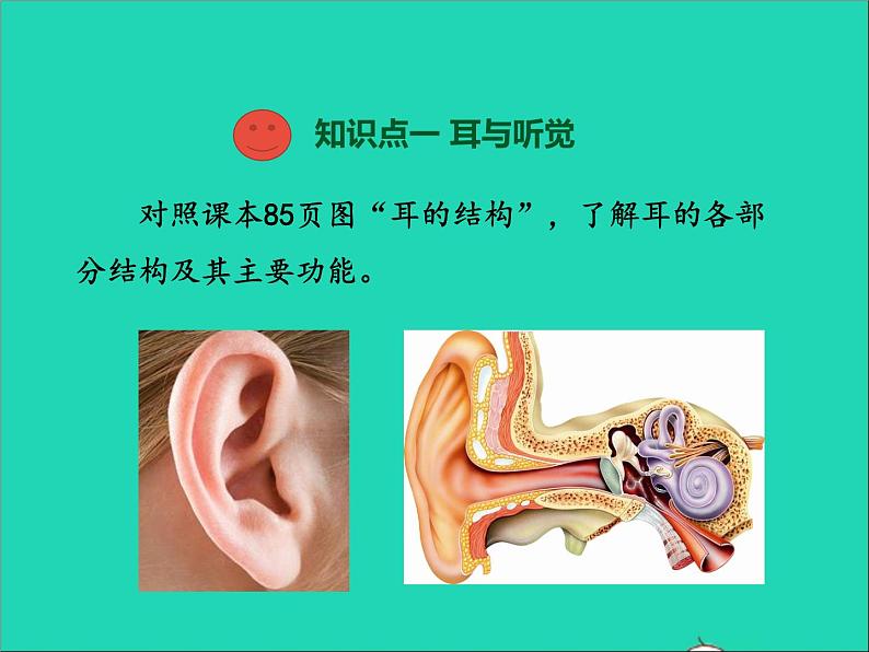 生物北师大版七年级下册同步教学课件第4单元 生物圈中的人第12章人体的自我调节第2节感受器和感觉器官第2课时听觉其他感受器105