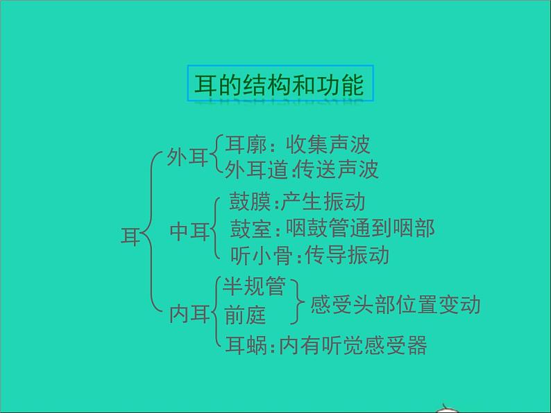 生物北师大版七年级下册同步教学课件第4单元 生物圈中的人第12章人体的自我调节第2节感受器和感觉器官第2课时听觉其他感受器107