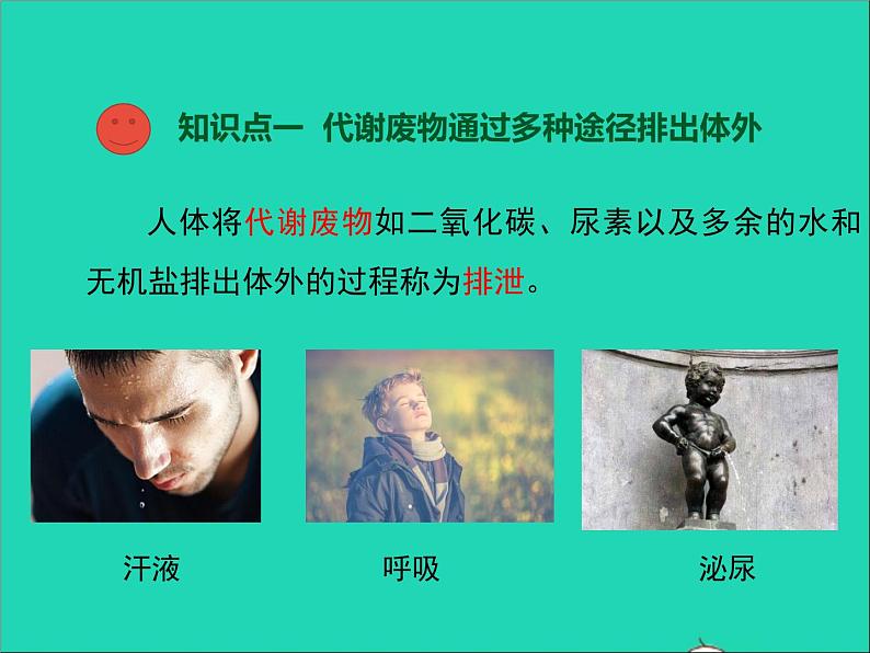 生物北师大版七年级下册同步教学课件第4单元 生物圈中的人第11章人体代谢废物的排出第1节人体产生的代谢废物206