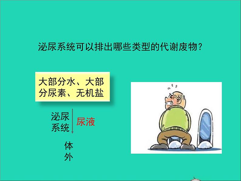 生物北师大版七年级下册同步教学课件第4单元 生物圈中的人第11章人体代谢废物的排出第1节人体产生的代谢废物208