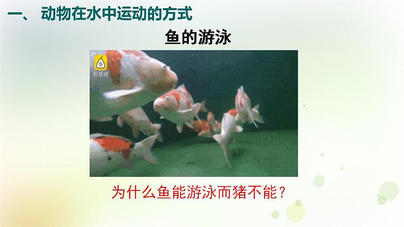 15.1.1动物运动的方式 课件-北师大版八年级生物上册第4页