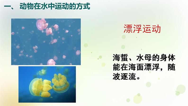 15.1.1动物运动的方式 课件-北师大版八年级生物上册第6页