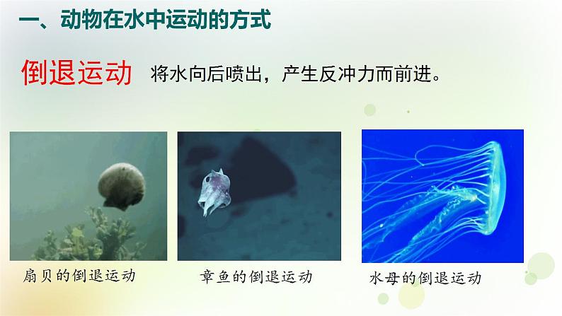 15.1.1动物运动的方式 课件-北师大版八年级生物上册第7页