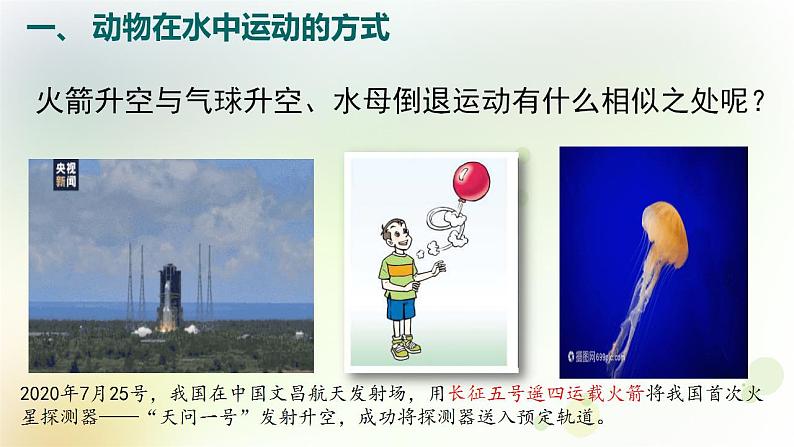 15.1.1动物运动的方式 课件-北师大版八年级生物上册第8页