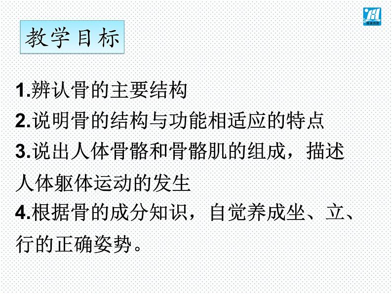 第15章 第2节 动物运动的形成-2021-2022学年八年级上册初二生物【名校培优课堂】同步教学课件（北师大版）第3页