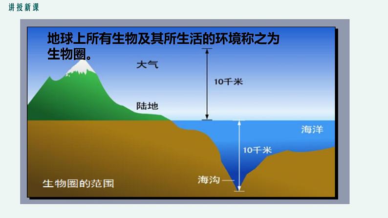 1.1 形形色色的生物 课件 初中生物北师大版 七年级上册第4页