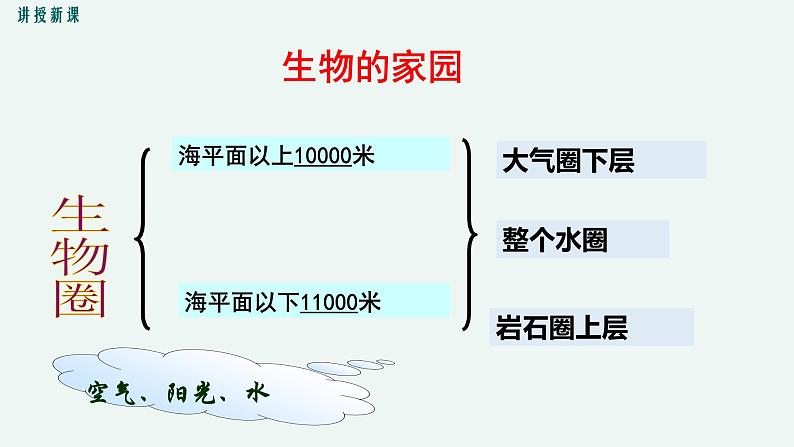 1.1 形形色色的生物 课件 初中生物北师大版 七年级上册第5页