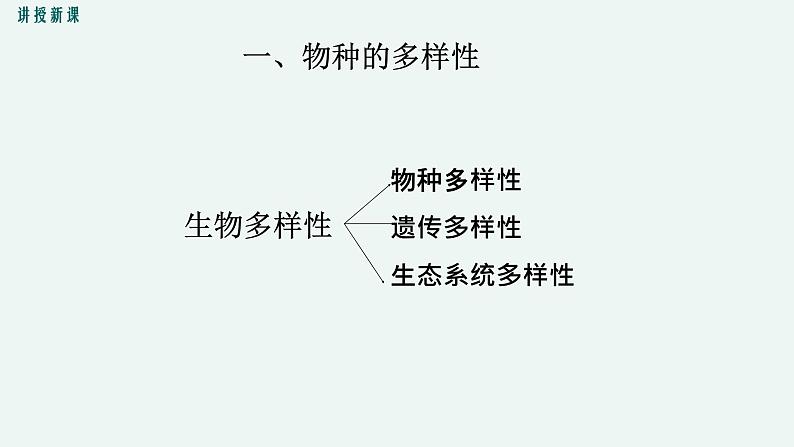 1.1 形形色色的生物 课件 初中生物北师大版 七年级上册第6页