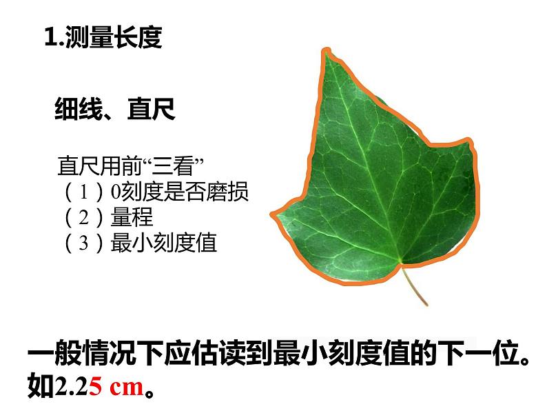 初中生物冀少版 七年级上册 1.1.4 学习探究 课件03