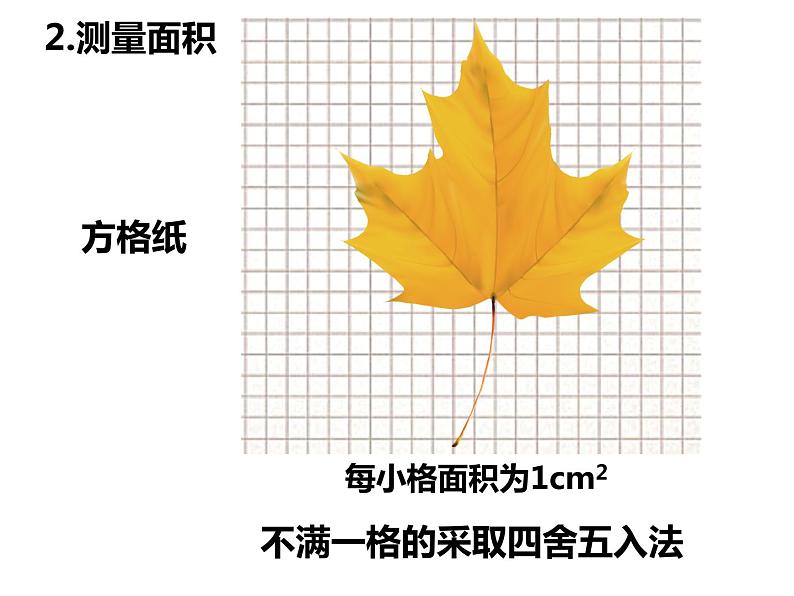 初中生物冀少版 七年级上册 1.1.4 学习探究 课件05