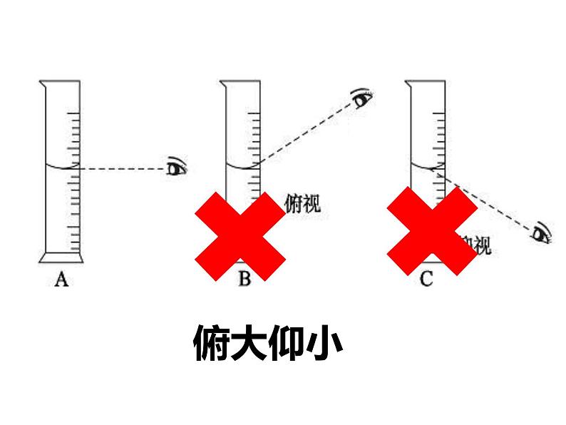 初中生物冀少版 七年级上册 1.1.4 学习探究 课件08