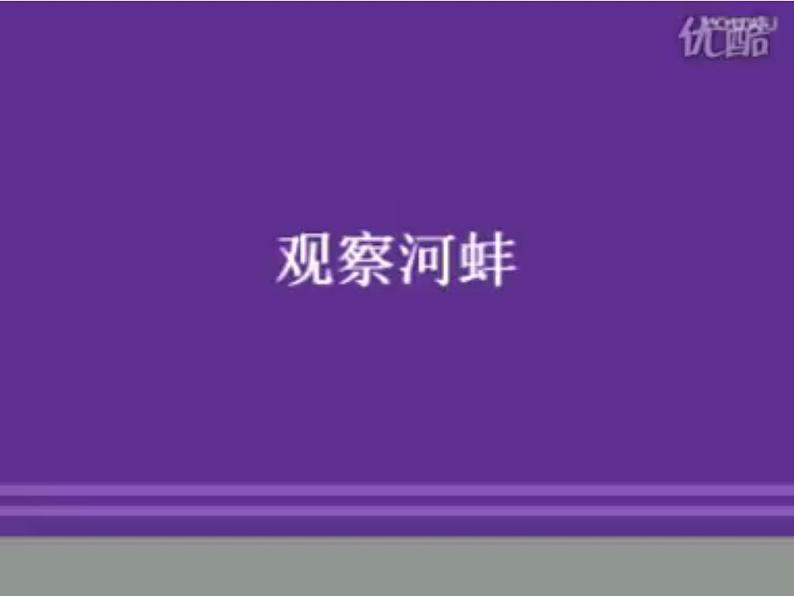 初中生物冀少版 七年级上册 1.4.4 软体动物 课件04