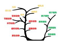 冀教版七年级上册第七节 两栖类和爬行类图文课件ppt