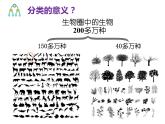 初中生物冀少版 七年级上册 1.5.1 尝试对生物进行分类 课件