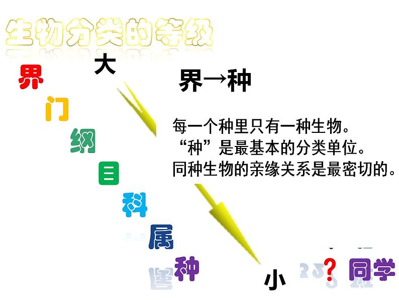 初中生物冀少版 七年级上册 1.5.2 练习对生物进行鉴别 课件第5页