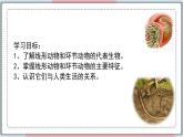5.1.2 線形動物和環(huán)節(jié)動物 課件 初中生物人教版八年級上冊