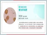 5.1.2 線形動物和環(huán)節(jié)動物 課件 初中生物人教版八年級上冊