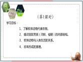 5.1.3 软体动物和节肢动物 课件 初中生物人教版八年级上册