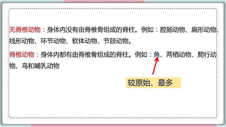 5.1.4 鱼 课件 初中生物人教版八年级上册03