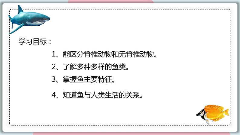 5.1.4 鱼 课件 初中生物人教版八年级上册04