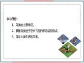 5.1.6 鸟 课件 初中生物人教版八年级上册