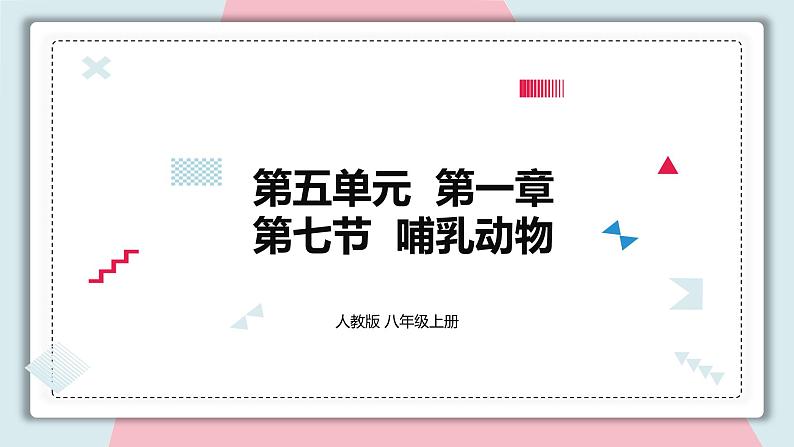 5.1.7 哺乳动物 课件 初中生物人教版八年级上册01