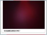 5.1.7 哺乳动物 课件 初中生物人教版八年级上册