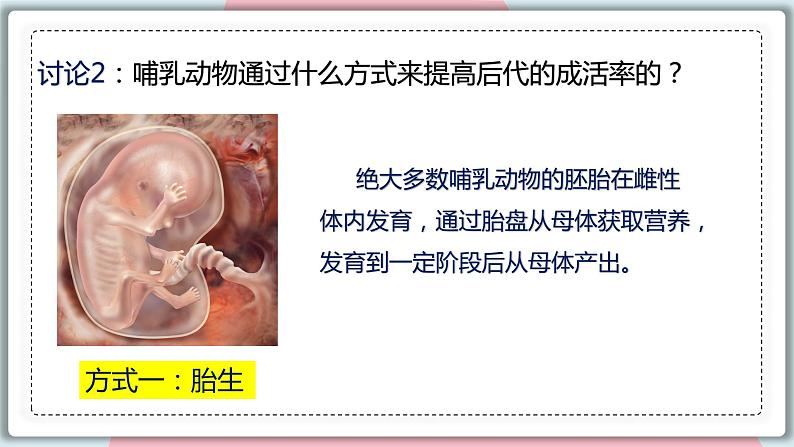 5.1.7 哺乳动物 课件 初中生物人教版八年级上册08