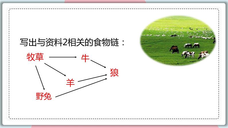 5.3 动物在生物圈中的作用 课件 初中生物人教版八年级上册第7页