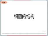 5.4.3 真菌 课件 初中生物人教版八年级上册