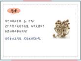 5.4.3 真菌 课件 初中生物人教版八年级上册