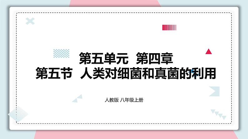 5.4.5 人类对细菌和真菌的利用 课件 初中生物人教版八年级上册01