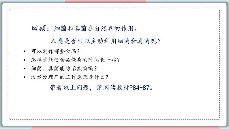 5.4.5 人类对细菌和真菌的利用 课件 初中生物人教版八年级上册03