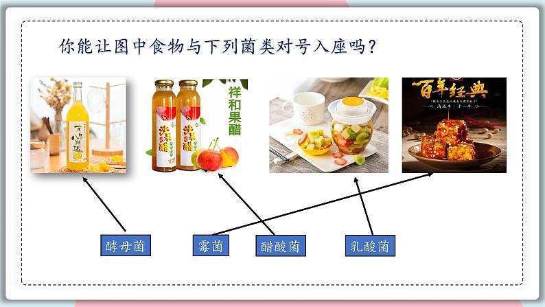 5.4.5 人类对细菌和真菌的利用 课件 初中生物人教版八年级上册05