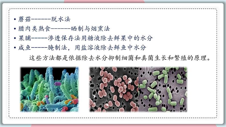 5.4.5 人类对细菌和真菌的利用 课件 初中生物人教版八年级上册08