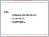 6.1.1 尝试对生物进行分类 课件 初中生物人教版八年级上册