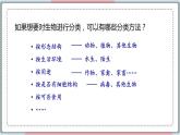 6.1.1 尝试对生物进行分类 课件 初中生物人教版八年级上册